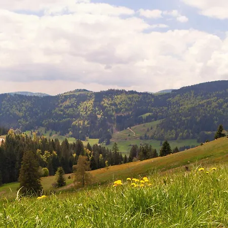 Апартаменты Relaxapartments Black Forest Moments - Maisonette-wohnung Mit Sonnenbalkon, Schnelles Internet, Naehe Triberger Wasserfaelle, Fuer Bis Zu 4 Personen Шёнвальд