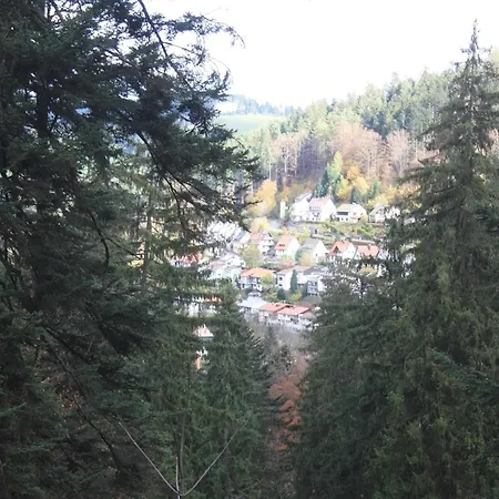 Auszeit Apartment: Black Forest Retreat With Balcony Views *