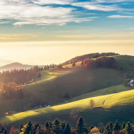 Relaxapartments Black Forest Moments - Maisonette-wohnung Mit Sonnenbalkon, Schnelles Internet, Naehe Triberger Wasserfaelle, Fuer Bis Zu 4 Personen Апартаменты
