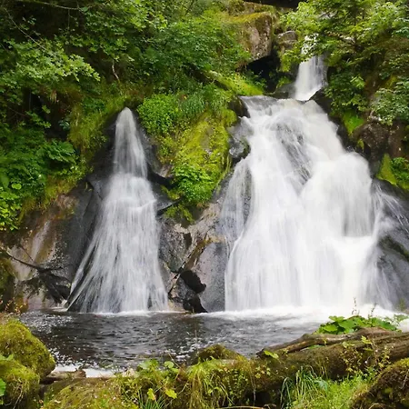 Apartment Relaxapartments Black Forest Moments - Maisonette-wohnung Mit Sonnenbalkon, Schnelles Internet, Nähe Triberger Wasserfälle, Für Bis Zu 4 Personen *